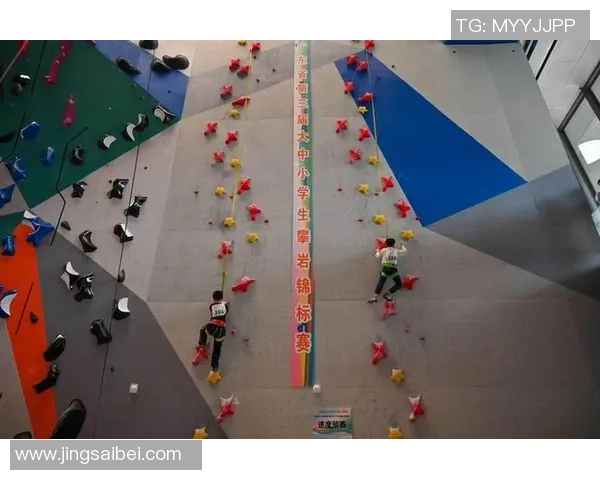 南山举办大中小学生攀岩锦标赛